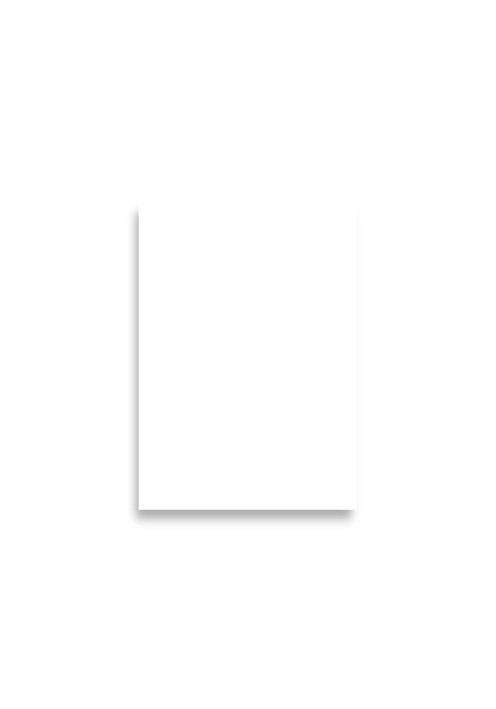 Enhanced Matte Paper Poster (in) — A2 (16.5″×23.3″)