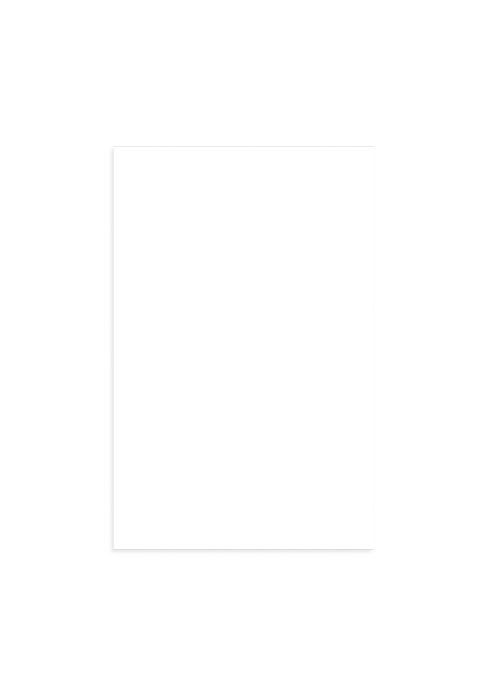 Premium Luster Photo Paper Poster (in) — 11″×17″