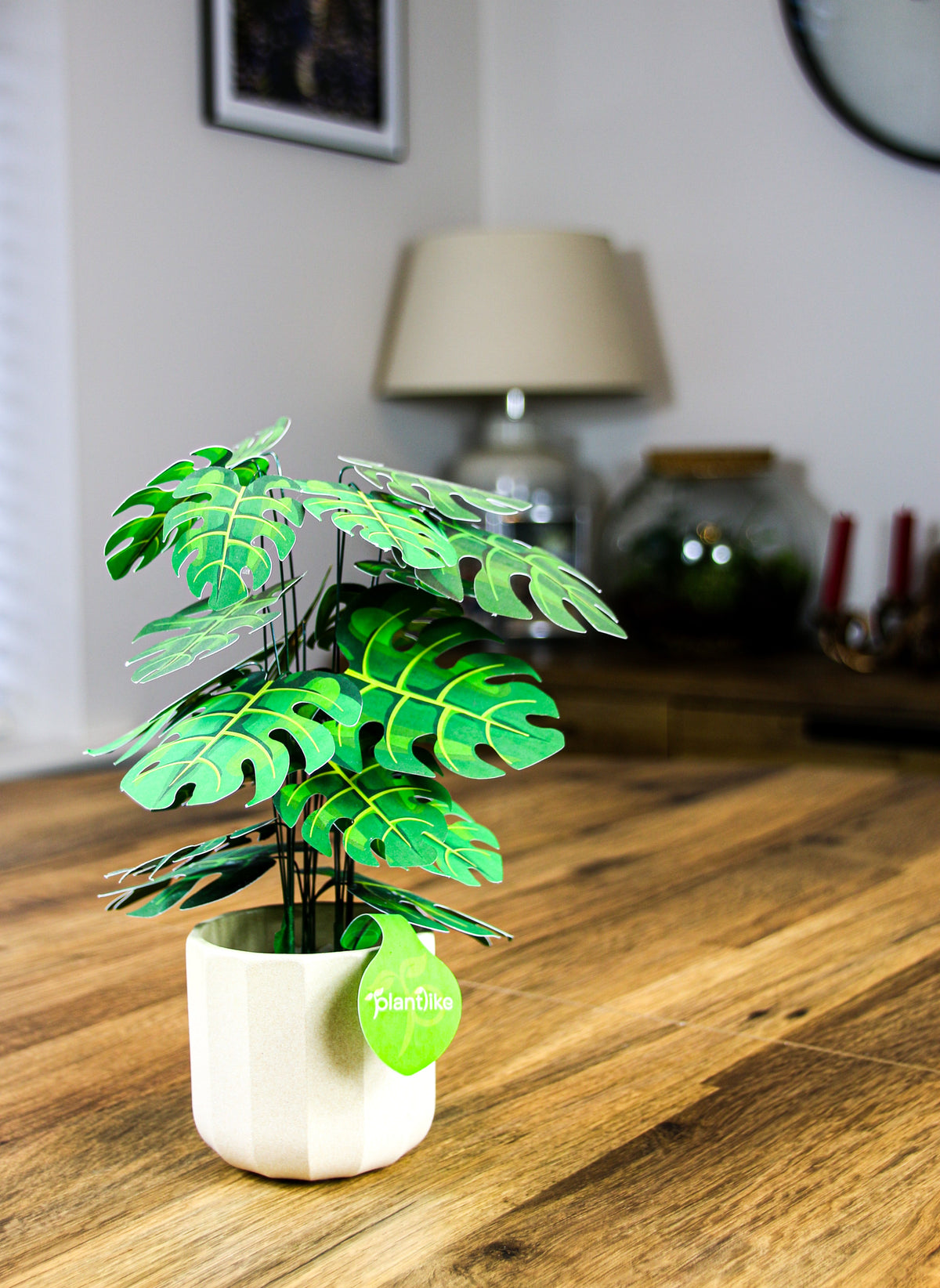 The Cheese Plant — Botanical Craft Kit by Plantlike