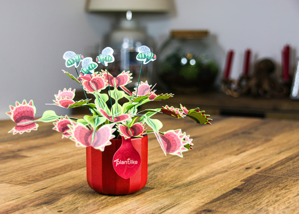 The Venus Fly Trap — Botanical Craft Kit by Plantlike