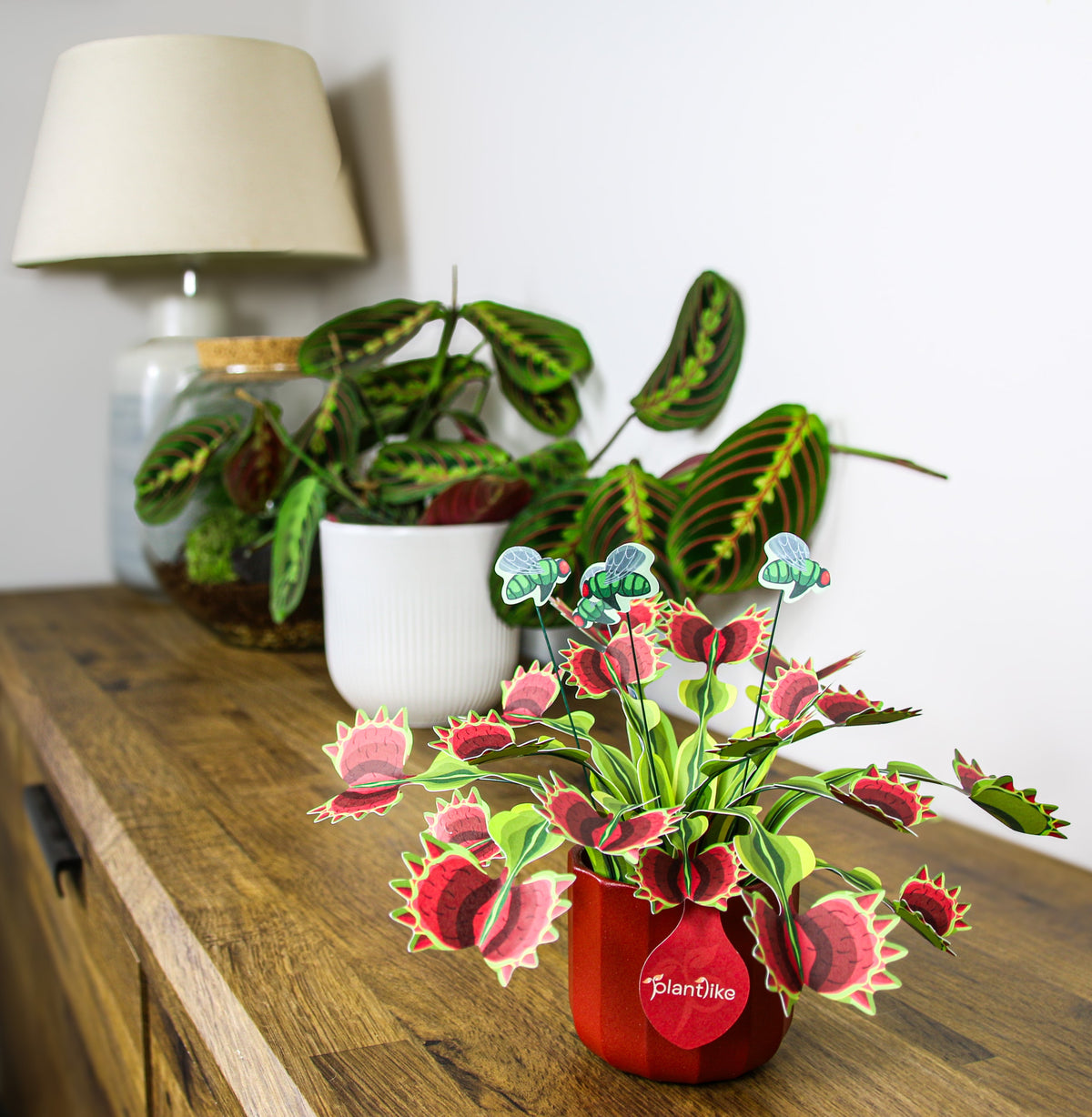 The Venus Fly Trap — Botanical Craft Kit by Plantlike
