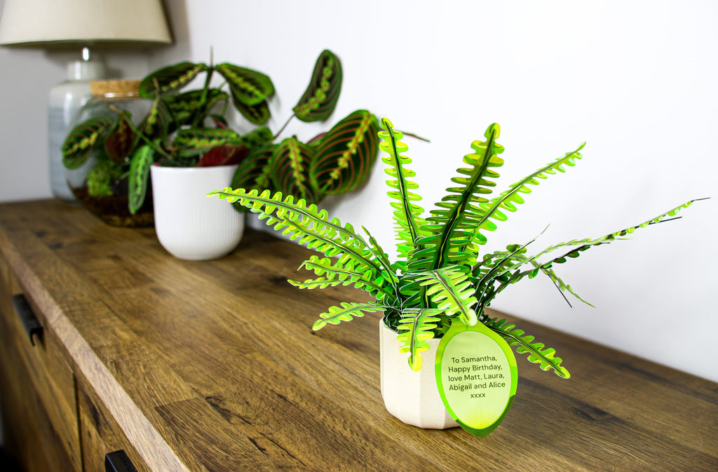 The Boston Fern — Botanical Craft Kit by Plantlike