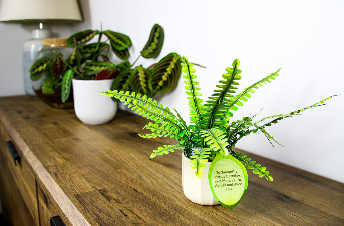 The Boston Fern — Botanical Craft Kit by Plantlike