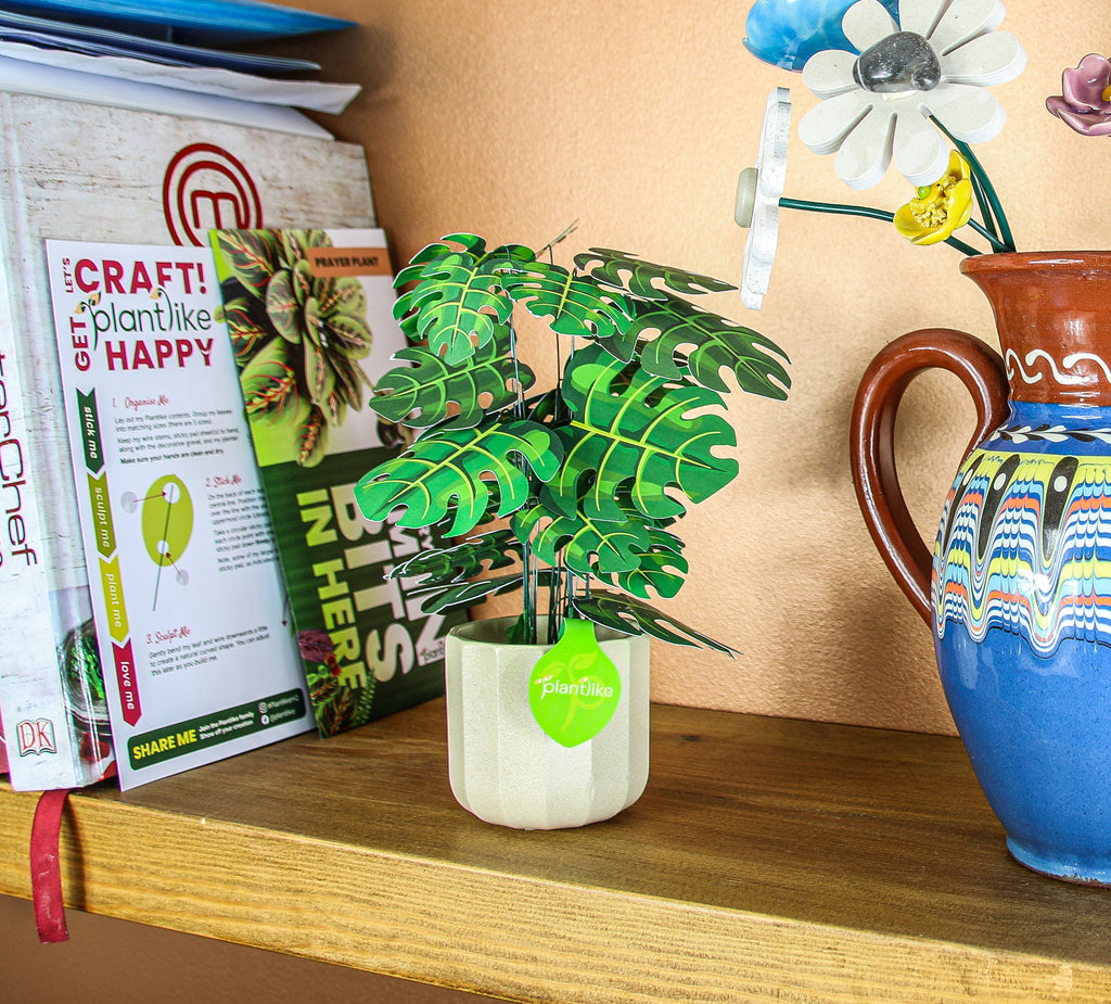 The Cheese Plant — Botanical Craft Kit by Plantlike