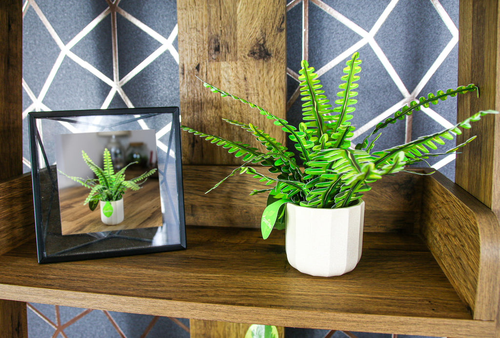 The Boston Fern — Botanical Craft Kit by Plantlike