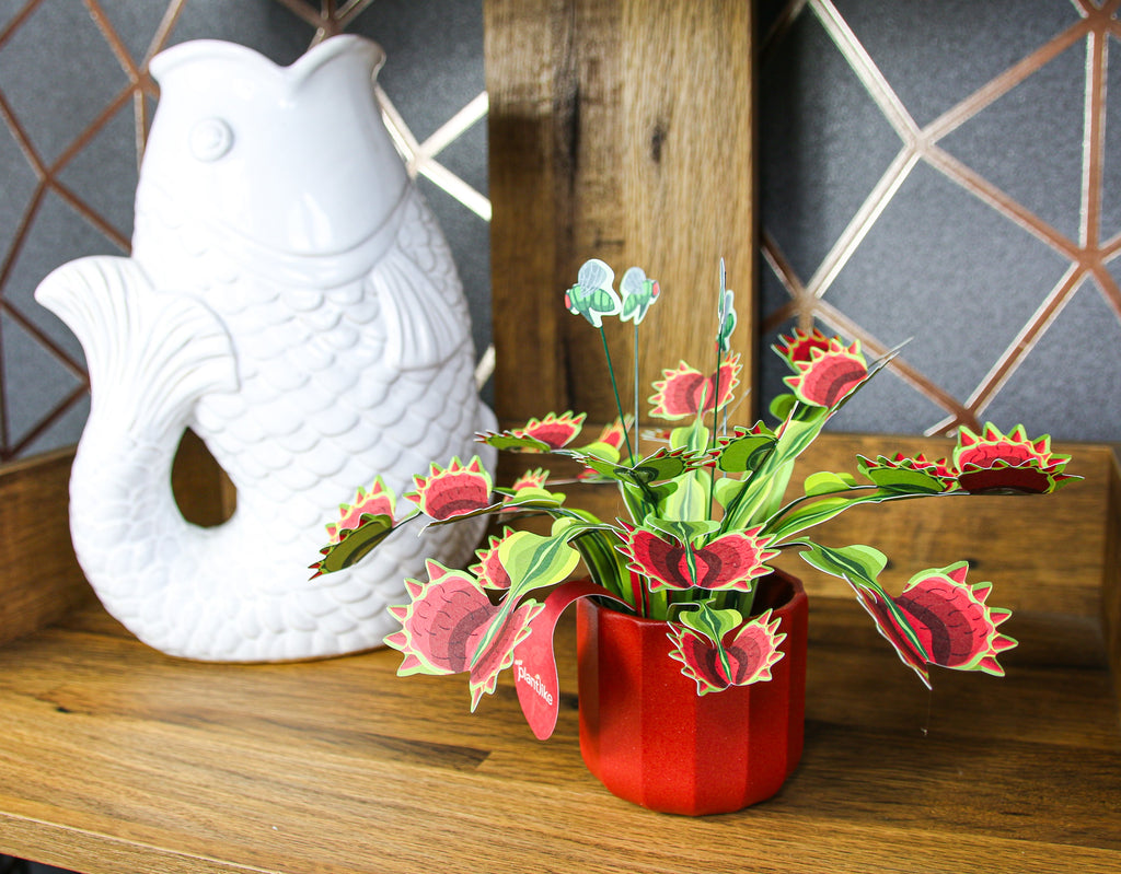 The Venus Fly Trap — Botanical Craft Kit by Plantlike