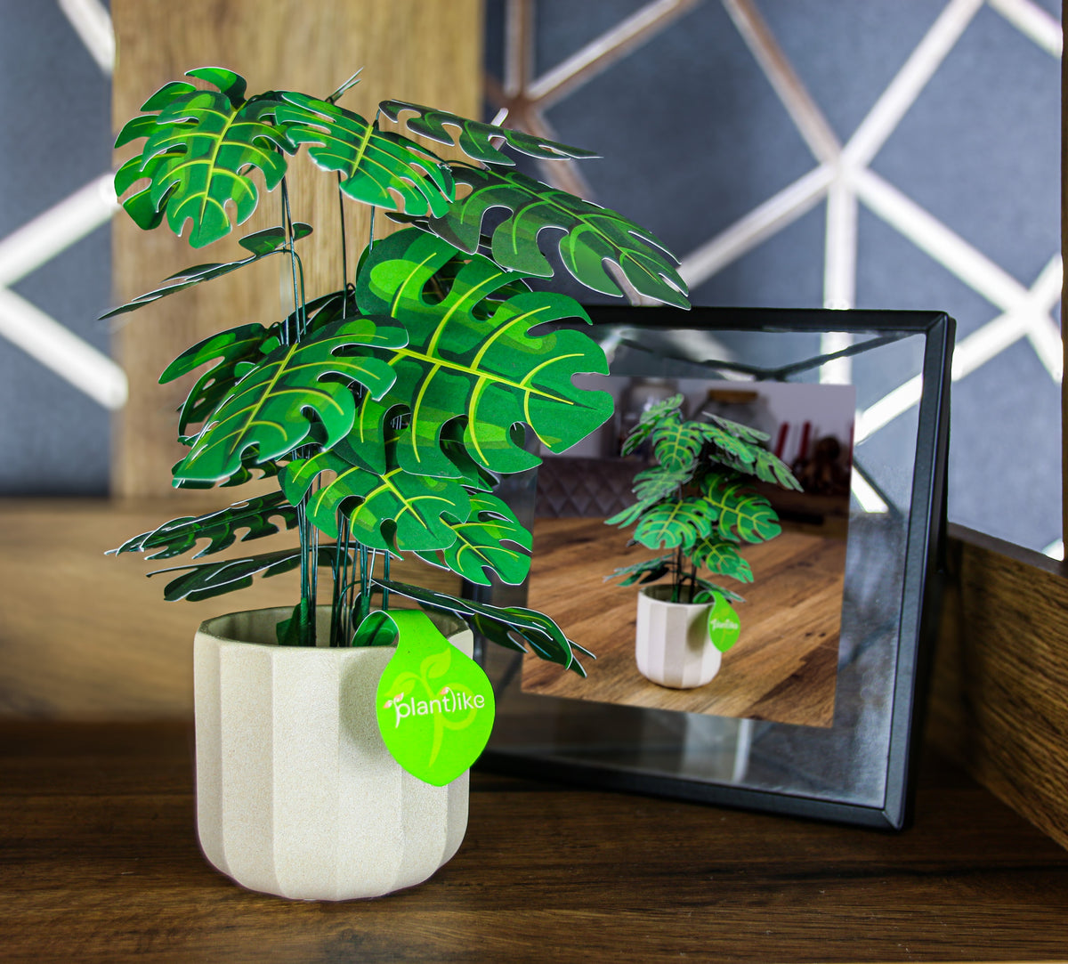 The Cheese Plant — Botanical Craft Kit by Plantlike