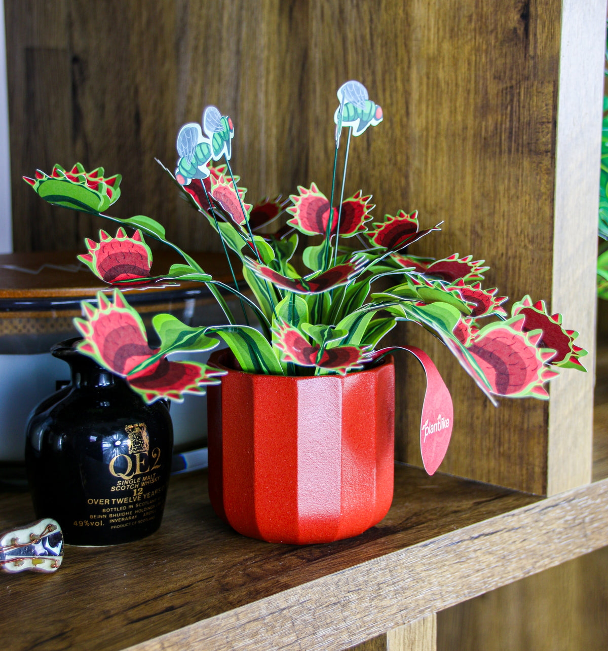 The Venus Fly Trap — Botanical Craft Kit by Plantlike