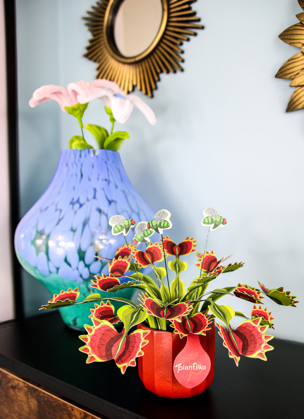 The Venus Fly Trap — Botanical Craft Kit by Plantlike