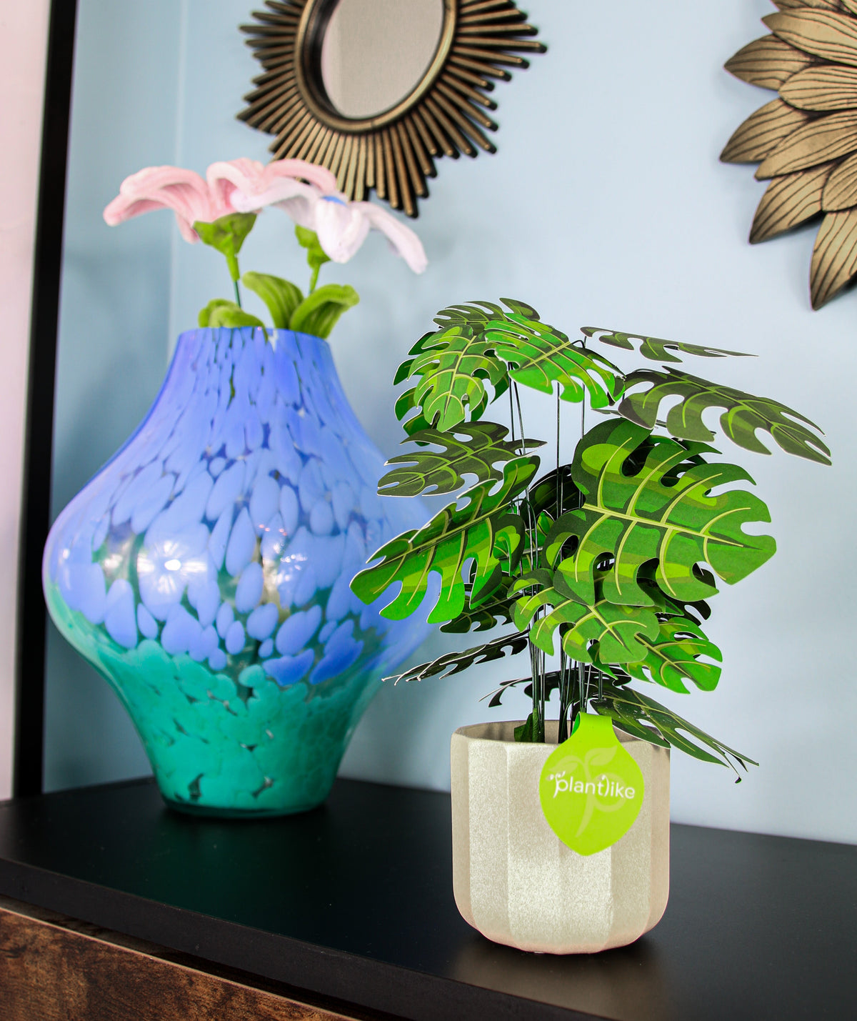 The Cheese Plant — Botanical Craft Kit by Plantlike