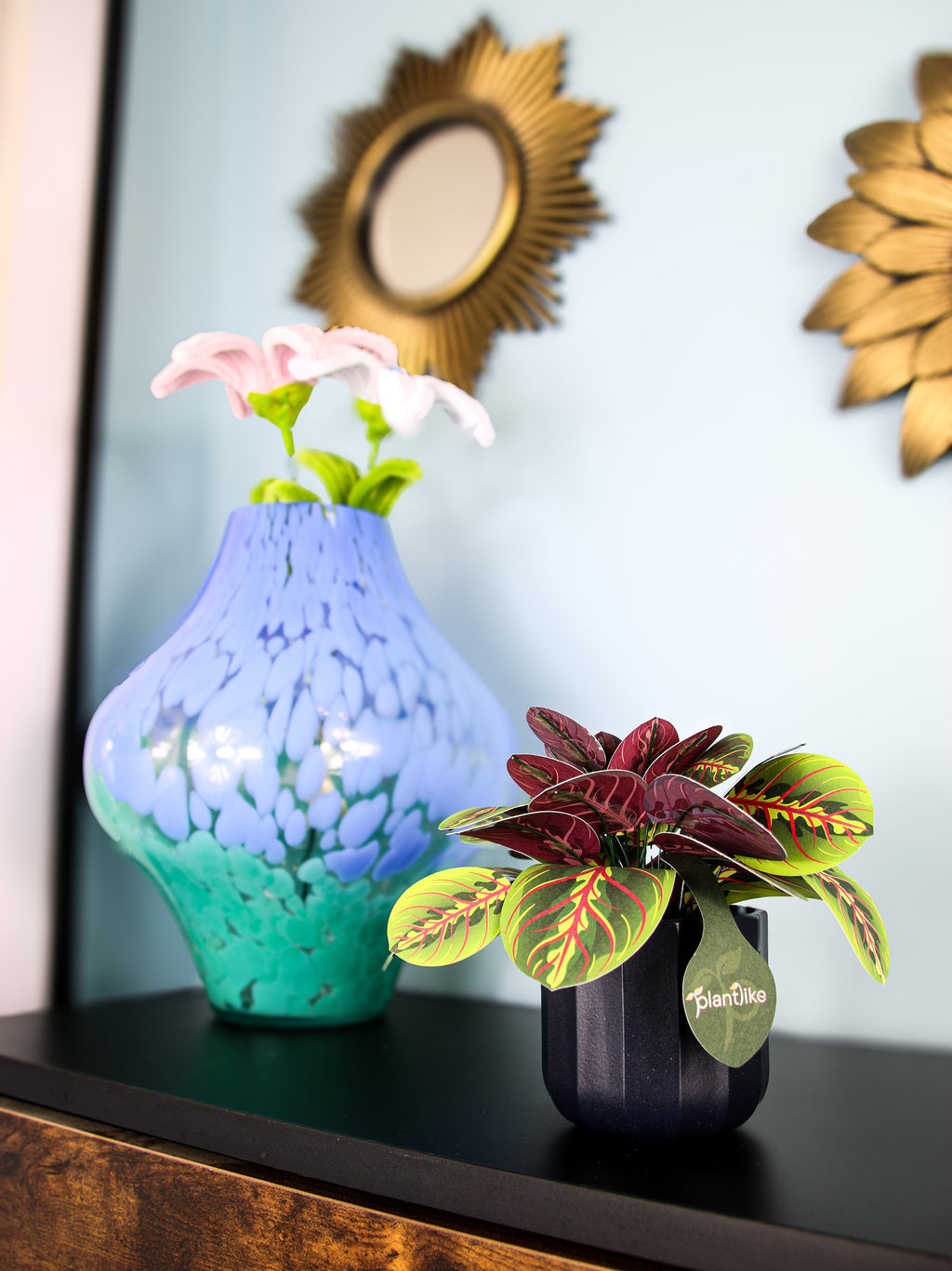 The Prayer Plant — Botanical Craft Kit by Plantlike