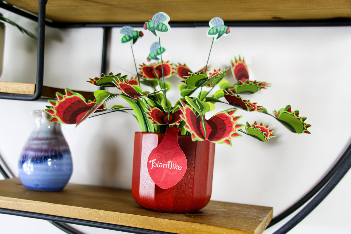 The Venus Fly Trap — Botanical Craft Kit by Plantlike