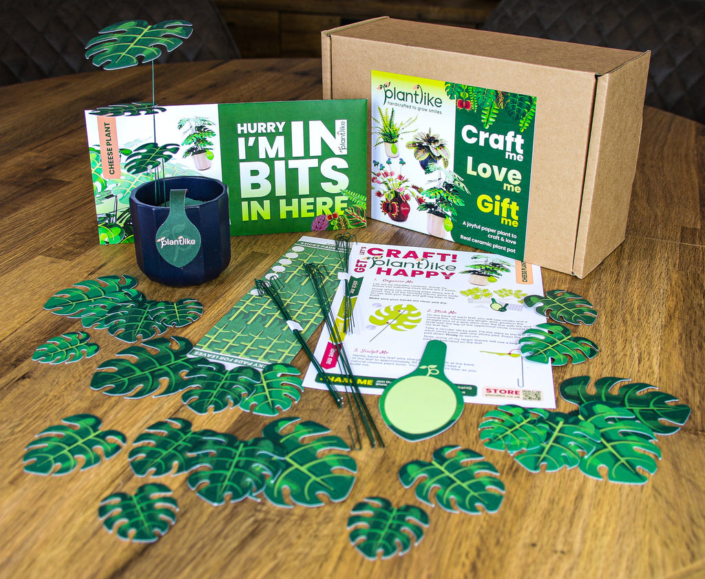 The Cheese Plant — Botanical Craft Kit by Plantlike