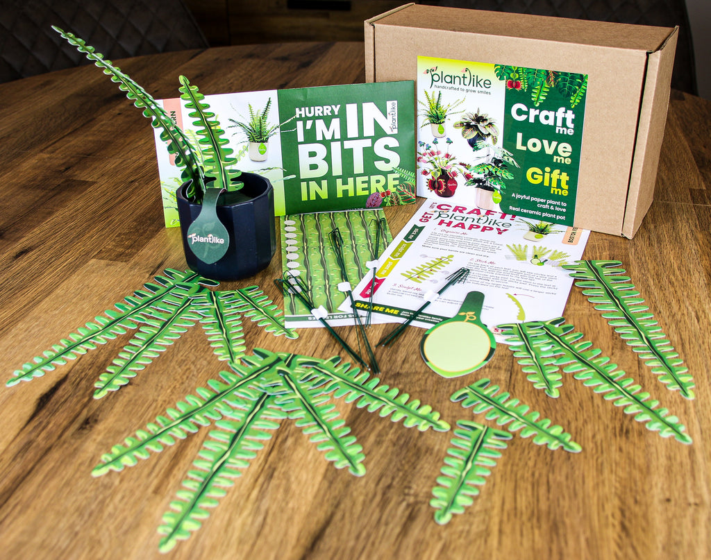 The Boston Fern — Botanical Craft Kit by Plantlike