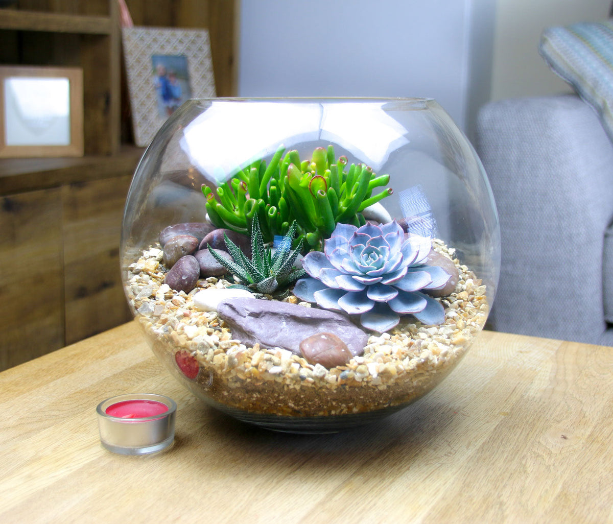 The Oasis - Glass Globe Terrarium with Living Plants - Large