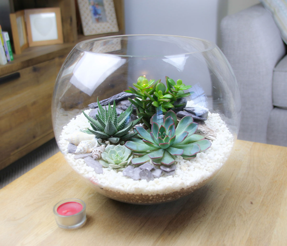 The Canyon - Globe Terrarium with 4 Succulent Plants- Extra Large