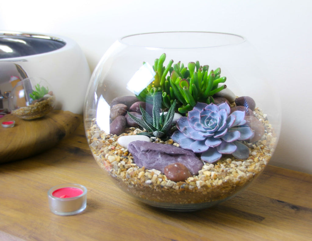 The Oasis - Glass Globe Terrarium with Living Plants - Large