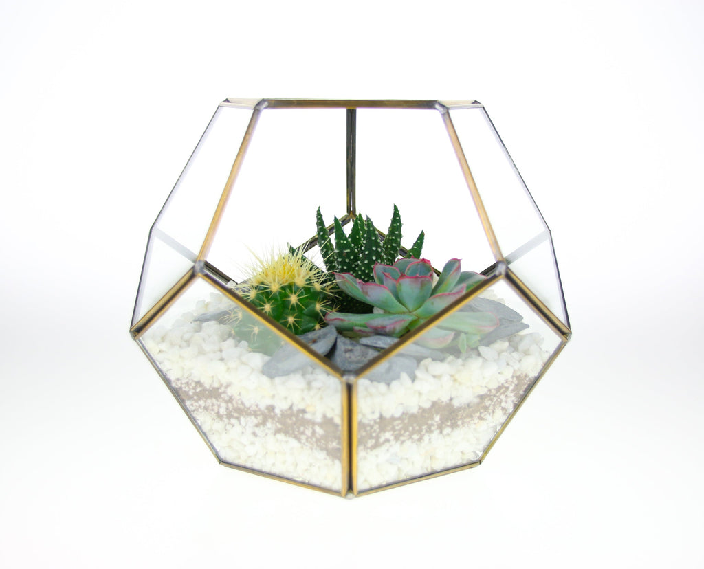 The Geode  - Geometric Terrarium with Cactus & Succulent Mix