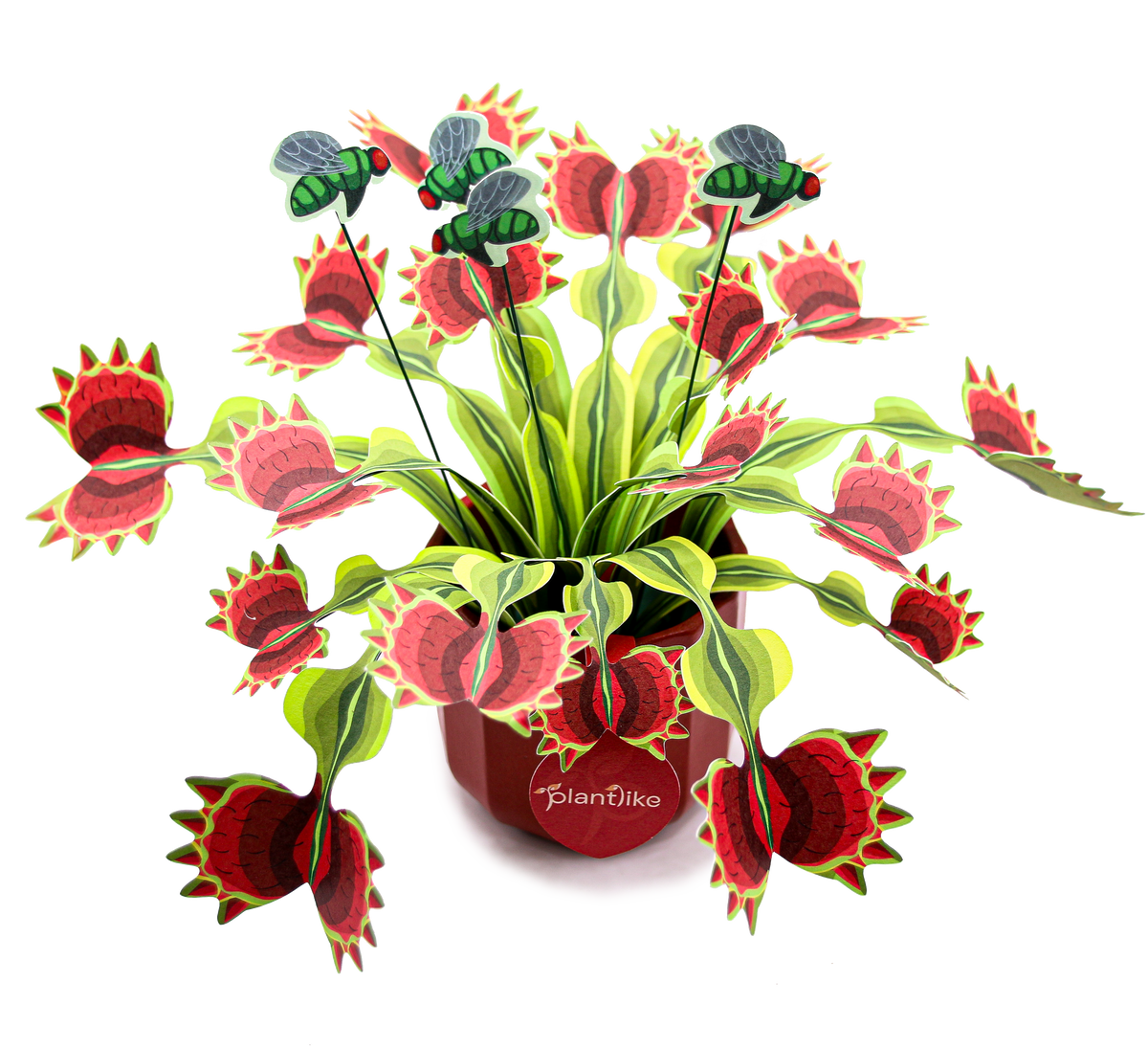 The Venus Fly Trap — Botanical Craft Kit by Plantlike