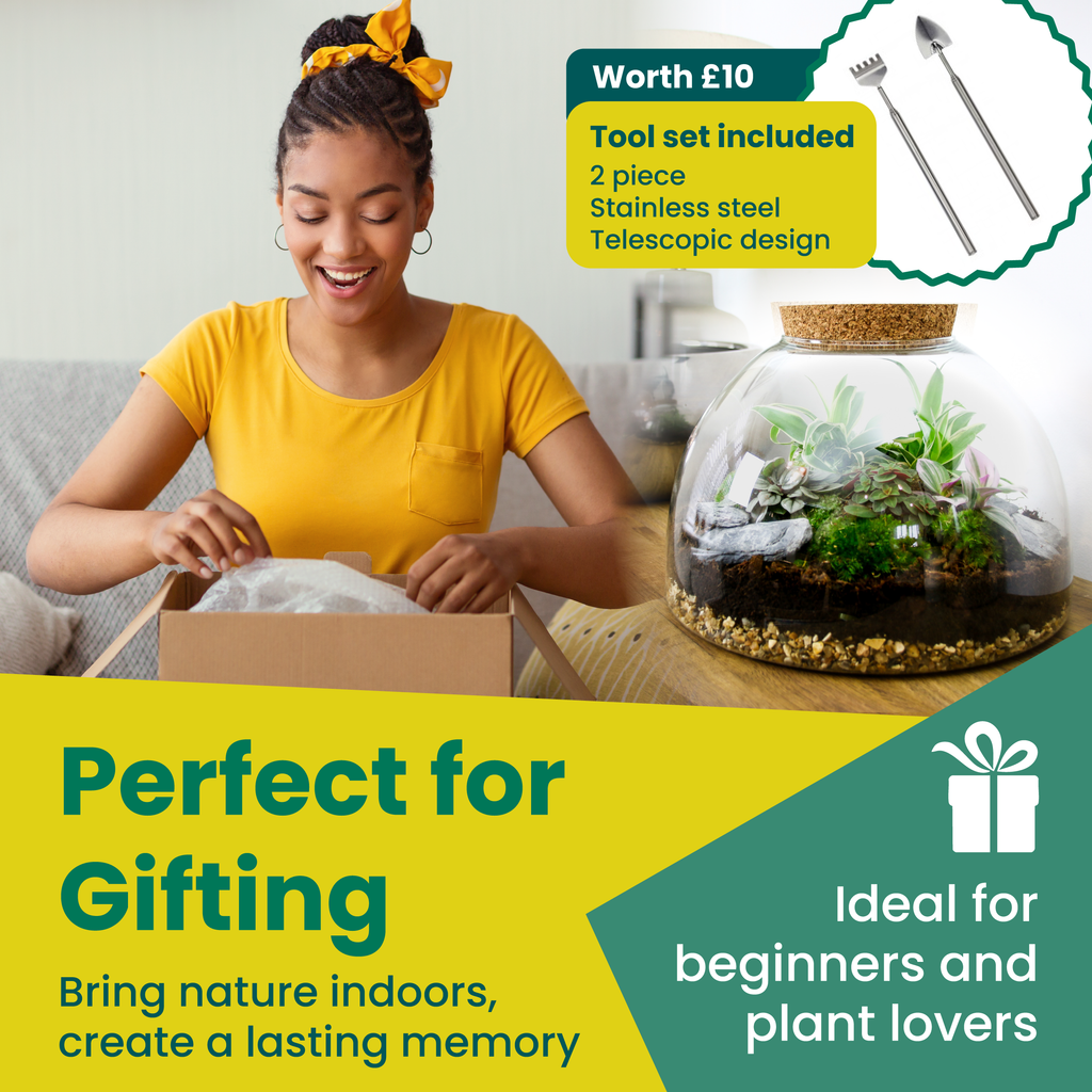 The Dome - Glass Domed Terrarium with Living Plants