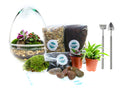 The Egg - All Glass Two Piece Terrarium with Living Plants