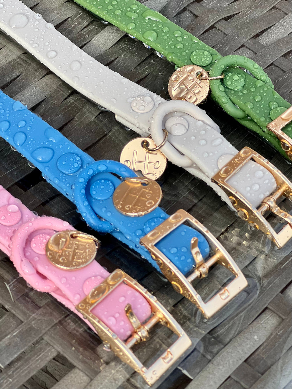 Oatmeal Latte 'All Weather' Dog Collar