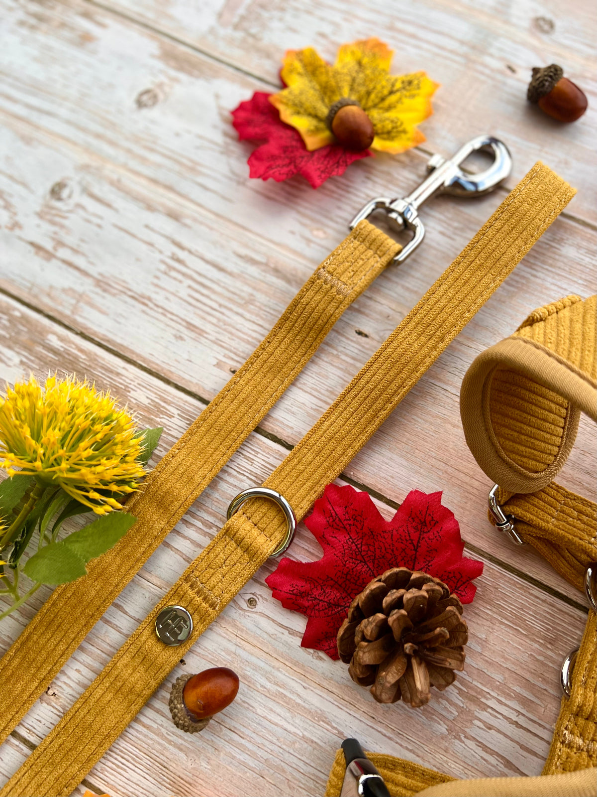 Mustard Yellow Corduroy Collar