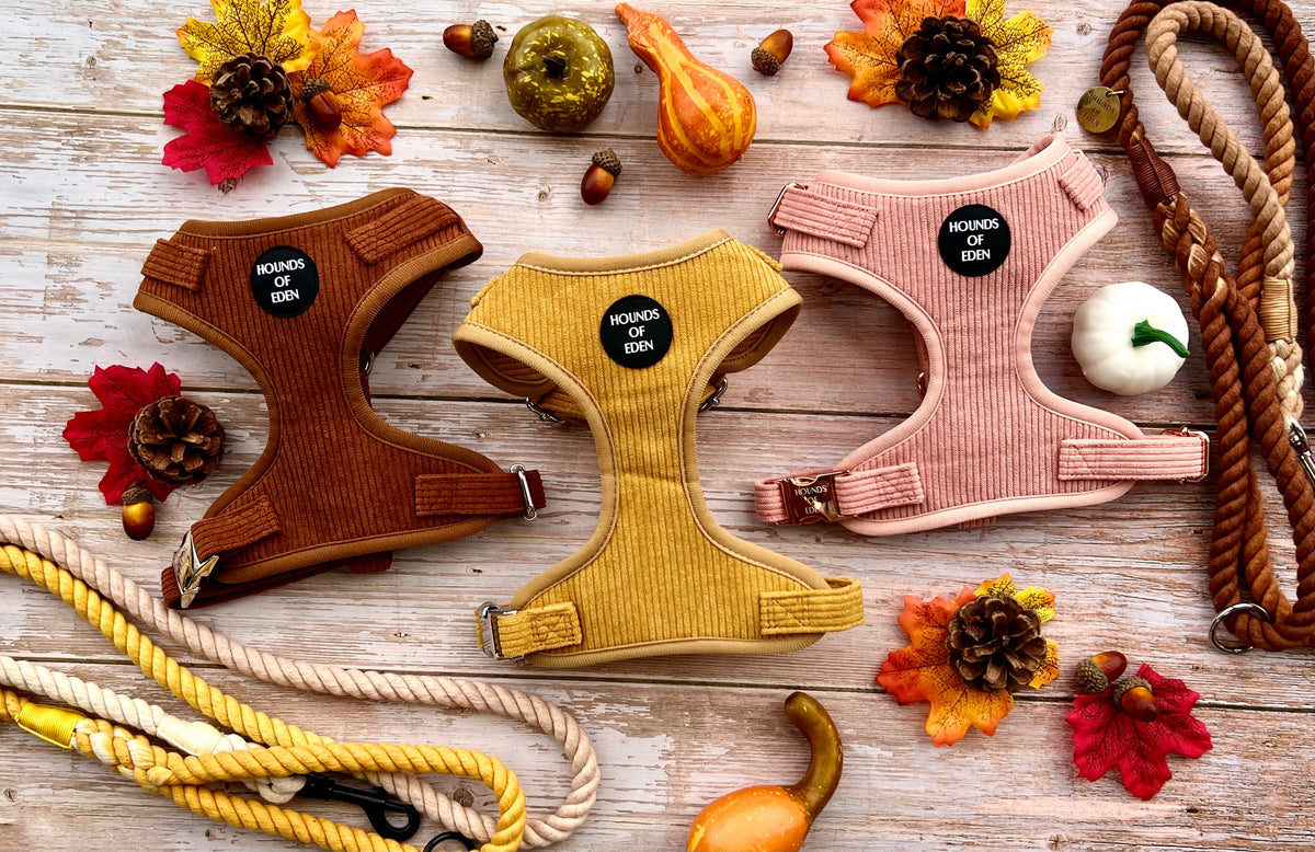 Mustard Yellow Corduroy Collar