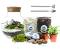 The Nook - Small Curvy Corked Terrarium with Living Plants