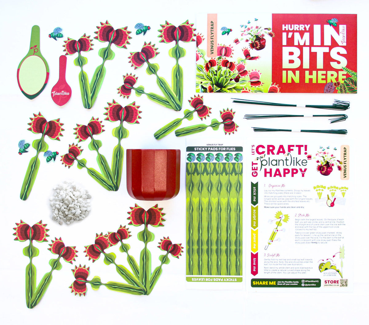 The Venus Fly Trap — Botanical Craft Kit by Plantlike