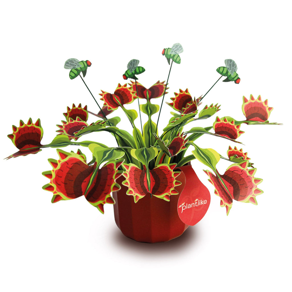 The Venus Fly Trap — Botanical Craft Kit by Plantlike
