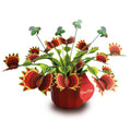 The Venus Fly Trap — Botanical Craft Kit by Plantlike